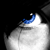 :iconjenwifer: