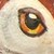 :iconjericabestestpoet: