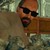 :iconjericholewis: