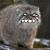 :iconjerk985: