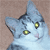 :iconjeromin: