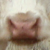 :iconjerrywayne: