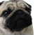 :iconjerseychick13: