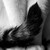 :iconjesibellwinterwolf:
