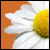 :iconjesper2: