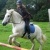 :iconjess-animal-obsessed: