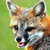 :iconjess-roleplay: