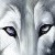 :iconjessdashadowwolf: