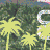 :iconjesse-ray: