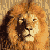:iconJessibell: