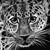 :iconjessica-brown:
