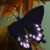 :iconjessica-moore:
