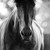jessicaboron :iconjessicaboron: