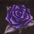 :iconjessicafan4life: