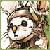 :iconjessie-james: