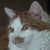 :iconjessie1947: