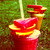 :iconjessiedportfolio: