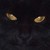 :iconjessiepreist: