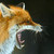 :iconjessiexthexdragon:
