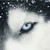 :iconjessilj: