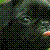 :iconjessio111:
