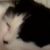 :iconjessmariefly: