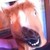 :iconjessthellamaqueen: