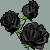 :iconjessyka-ipod: