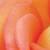 :iconjessyt: