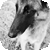 :iconjestemfranka: