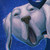:iconjestemtu: