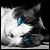 :iconjestermanjt:
