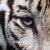 :iconjesus820: