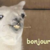 :iconjesustapdancing: