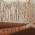 :iconjesyca901: