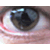 :iconjetdedt: