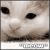 :iconjetfang: