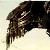 :iconjetfire4500:
