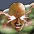 :iconJetMatic: