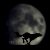 :iconjett-kiba: