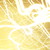 :iconjeuxsansfrontieres: