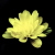 :iconjeveudescookie: