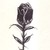 :iconjewel-lee14: