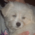 :iconjewel123456789: