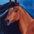 :iconjewelhorse:
