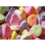 :iconjewelmudd: