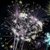 JewelRinoa :iconjewelrinoa: