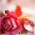 :iconjewelz84: