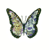:iconjezadrea: