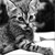 :iconjezavel-nyan: